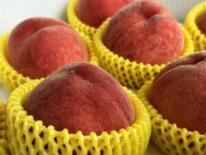 fruit