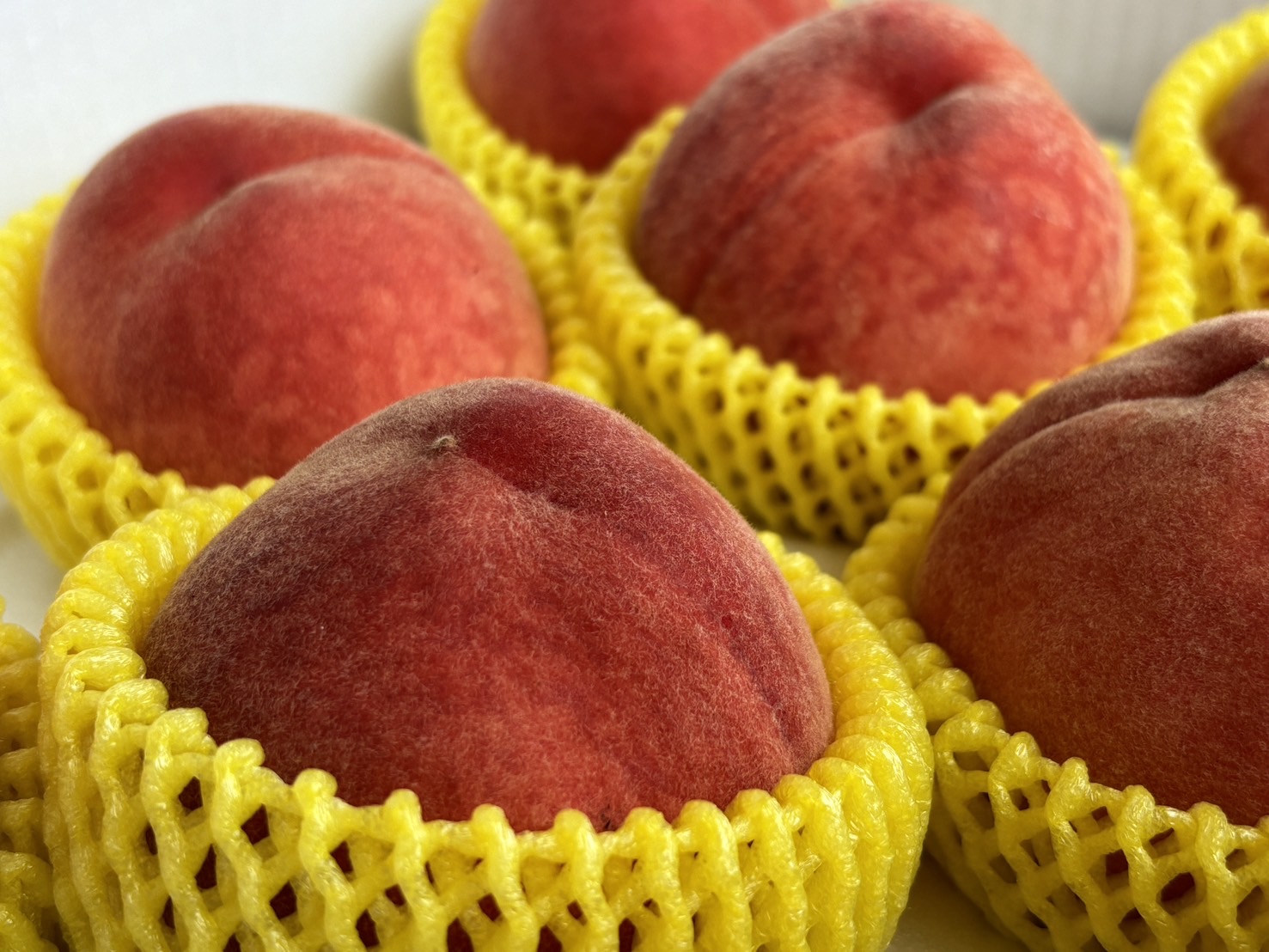 fruit